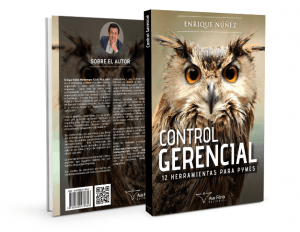Ebook Control Gerencial
